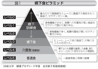 図１　嚥下食ピラミッド