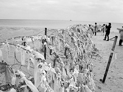 辺野古の海岸を分断する米軍の鉄条網に結ばれた、平和へのメッセージ