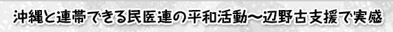 沖縄と連帯できる民医連の平和活動～辺野古支援で実感