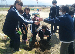 木と自分の成長を重ねようと植樹