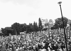 「さようなら原発集会」写真：「民医連新聞」より