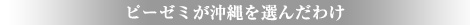 ピーゼミが沖縄を選んだわけ