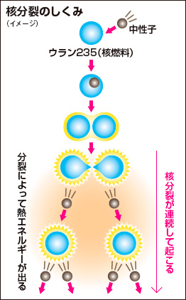 核分裂のしくみ（イメージ）