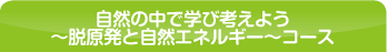 自然の中で学び考えよう～脱原発と自然エネルギー～コース