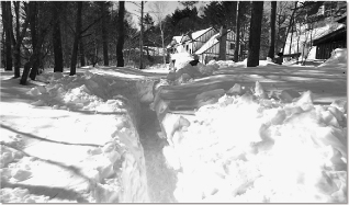 ２月の大雪災害　そのとき民医連は