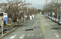 富岡町夜ノ森公園の桜並木 