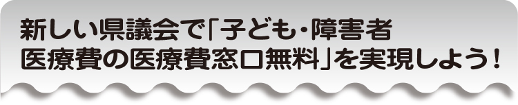 新しい県議会で「子ども・障害者医療費の医療費窓口無料」を実現しよう！